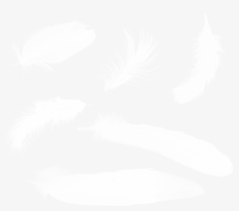 Free Png Feather Png Images Transparent - Feather, transparent png download