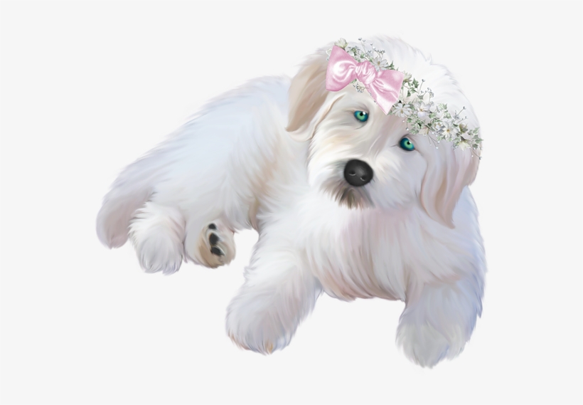 White Puppy Png, transparent png download