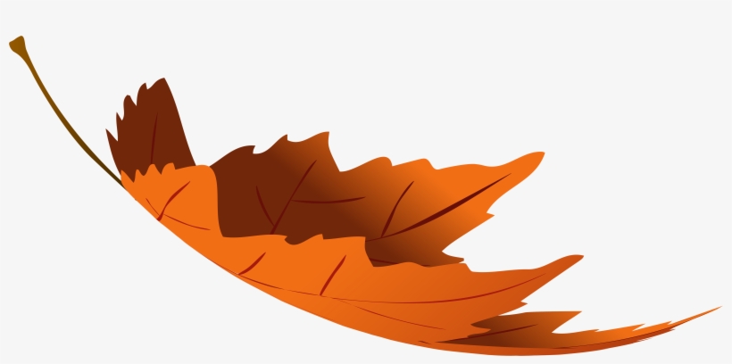 View Full Size - Autumn Leaves Transparent, transparent png download