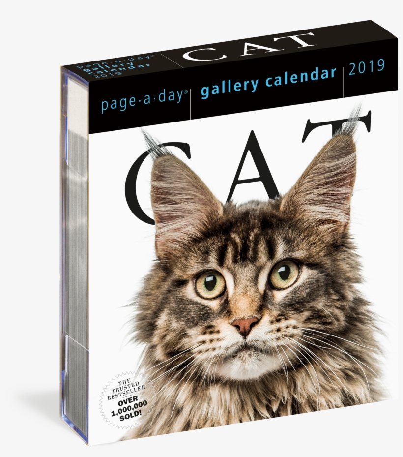 9781523503063 3d V=1537390883 - Workman Publishing Cat Gallery Desk Calendar, transparent png download