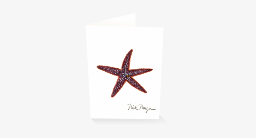 Starfish I - Starfish, transparent png download