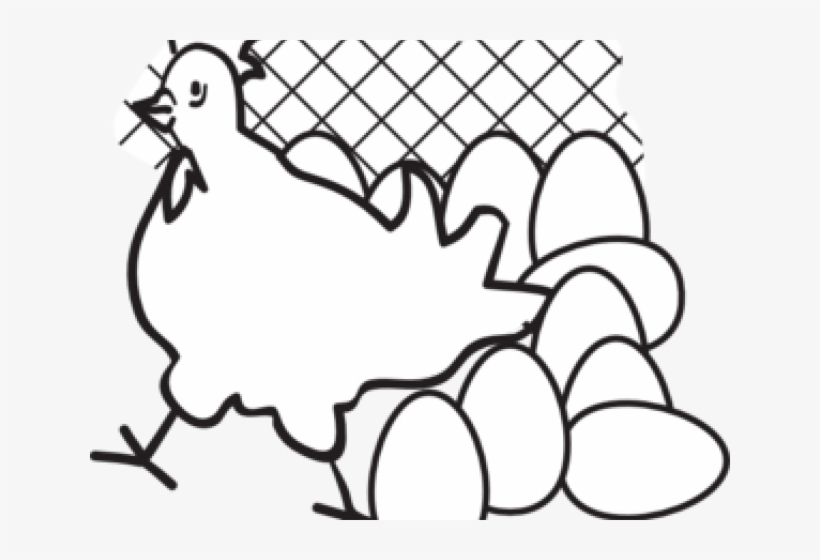 Drawn Chick Egg Png - Black And White Chickens With Eggs, transparent png download