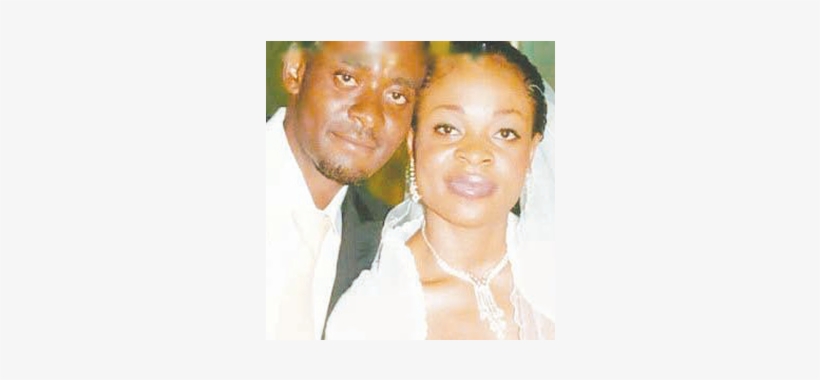 Visual Arts, transparent png download