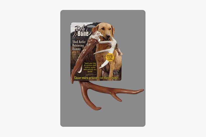 Product Dog Bone Shed Soft Brown Retrieving Antler - Dog Bone Shed Dummy Retrieving Antler, Brown, transparent png download
