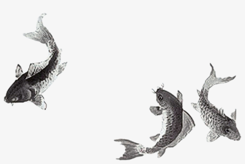 Chinese Style Squid Ink Painting Transparent Decorative - Three Four Chinese Traditional Lotus Photography Background, transparent png download