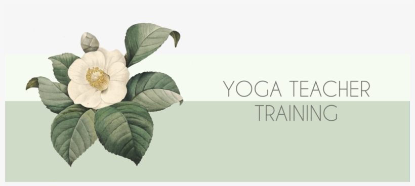 Teacher Training Banner - Vintage Flower Illustrations, transparent png download