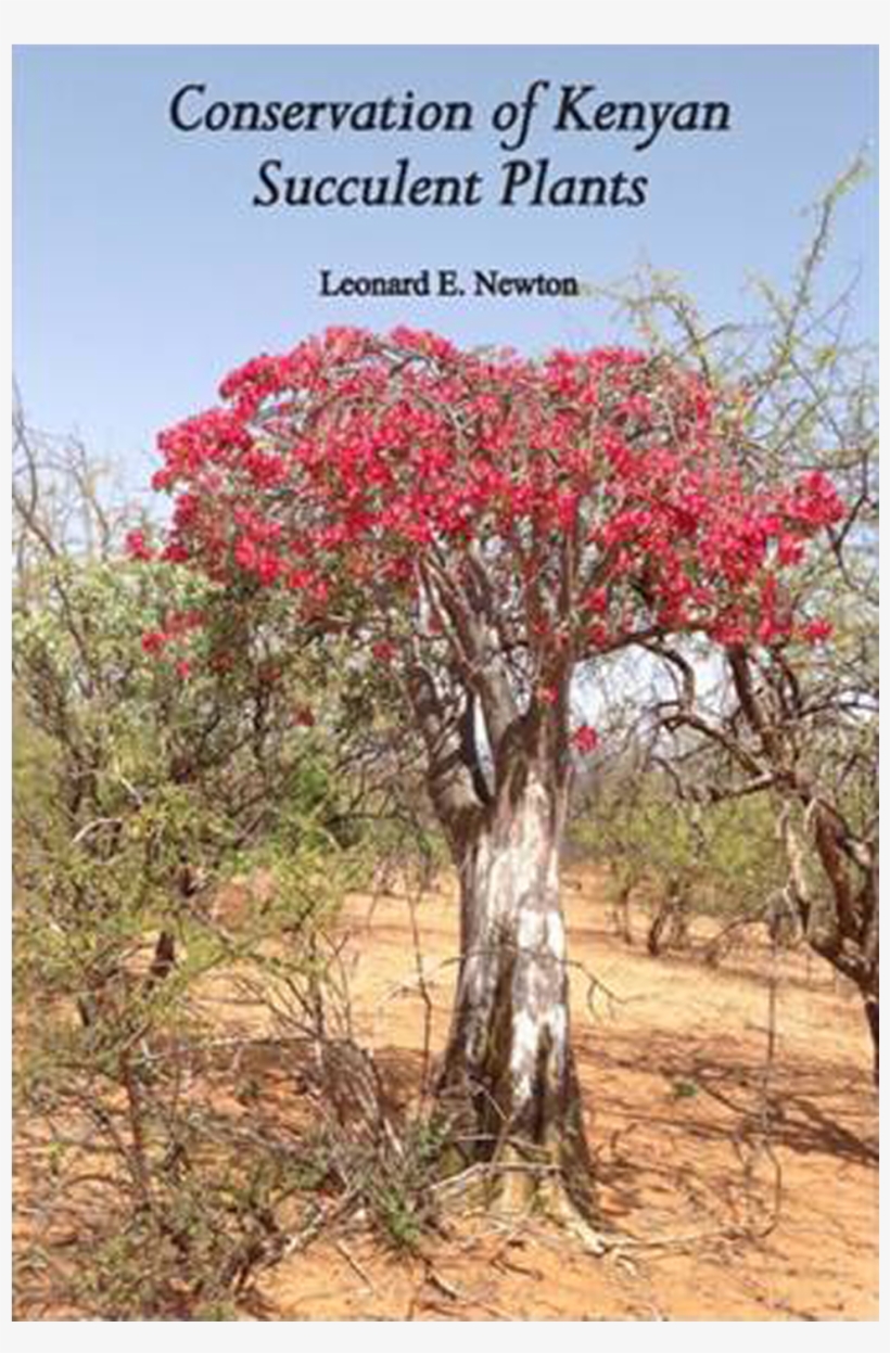 Conservation Of Kenyan Succulent Plants - Swamp Maple, transparent png download