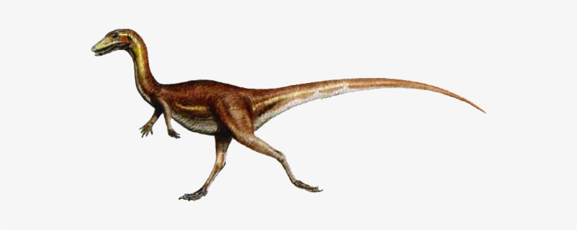 14dc22 Srz 652 329 85 22 - Procompsognathus Dinosaur, transparent png download