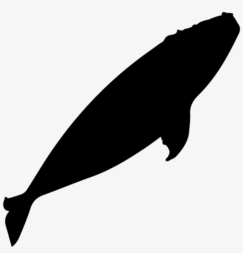 Clip Black And White Stock Right Silhouette Svg Png - Right Whale Silhouette, transparent png download