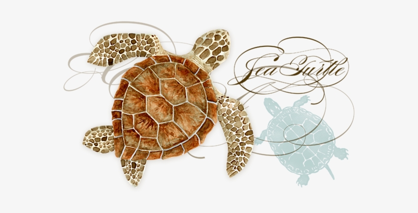 Click And Drag To Re-position The Image, If Desired - Counterart Sea Turtle Absorbent Coasters, Set Of 4, transparent png download