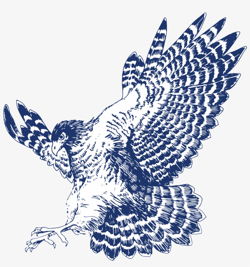 If You Have An Idea For The Hawk Eye To Cover, Please - Hawk, transparent png download