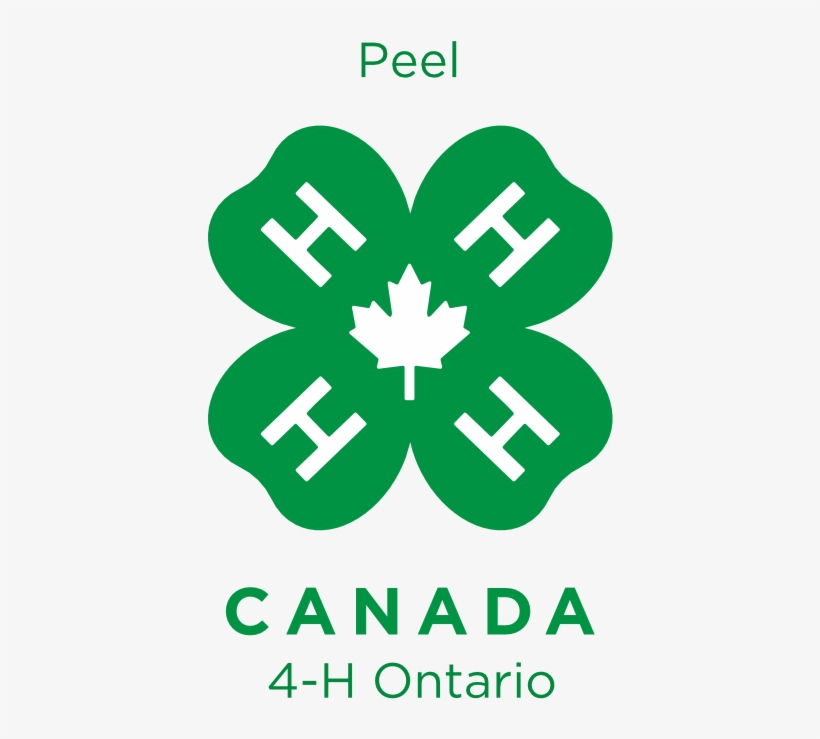 Peel 4h - New 4 H Logo, transparent png download