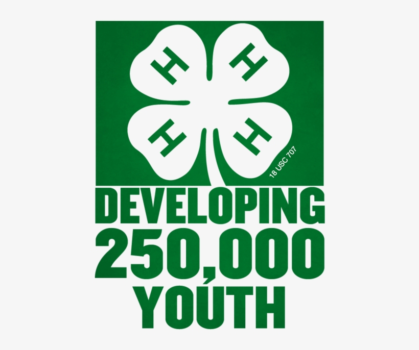 4h-square - 4h Four Leaf Clover, transparent png download