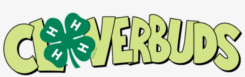 4 H Cloverbuds Is A Name Given To A 4 H Club Membership - 4 H Cloverbuds Logo, transparent png download