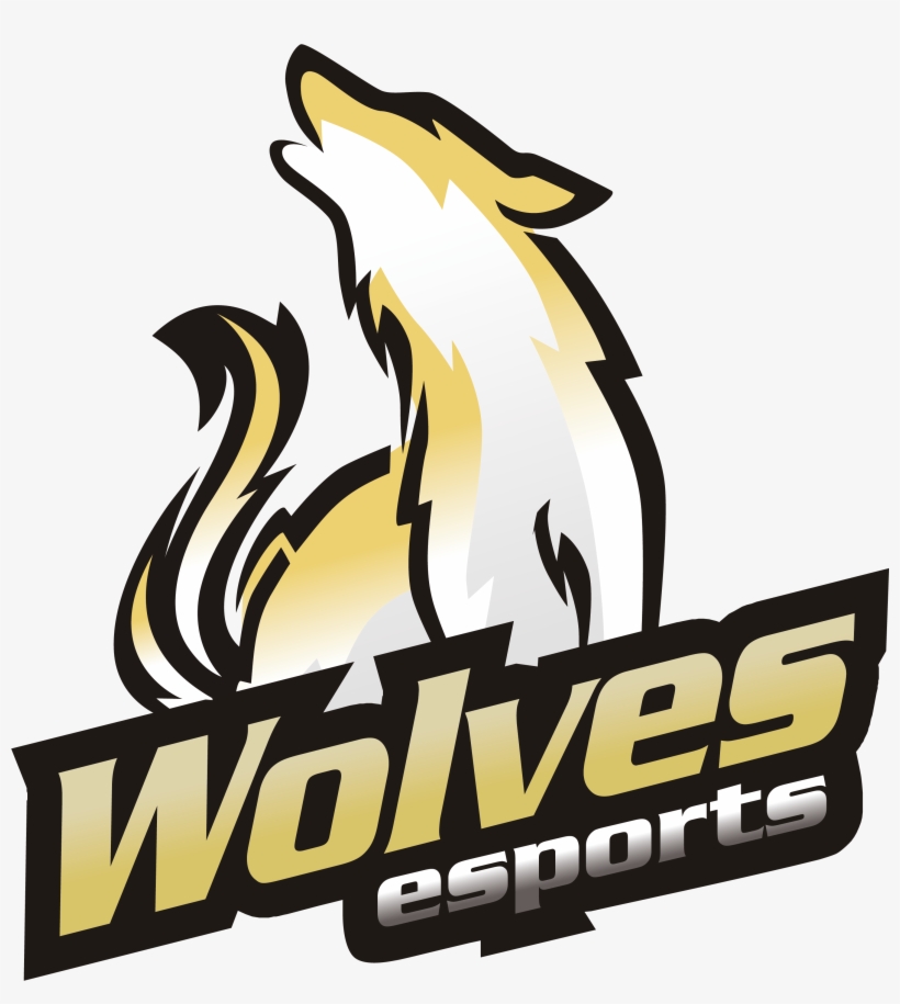 Burrito Esports 2 Vs 0 Wolves Esports - Burrito Esports, transparent png download