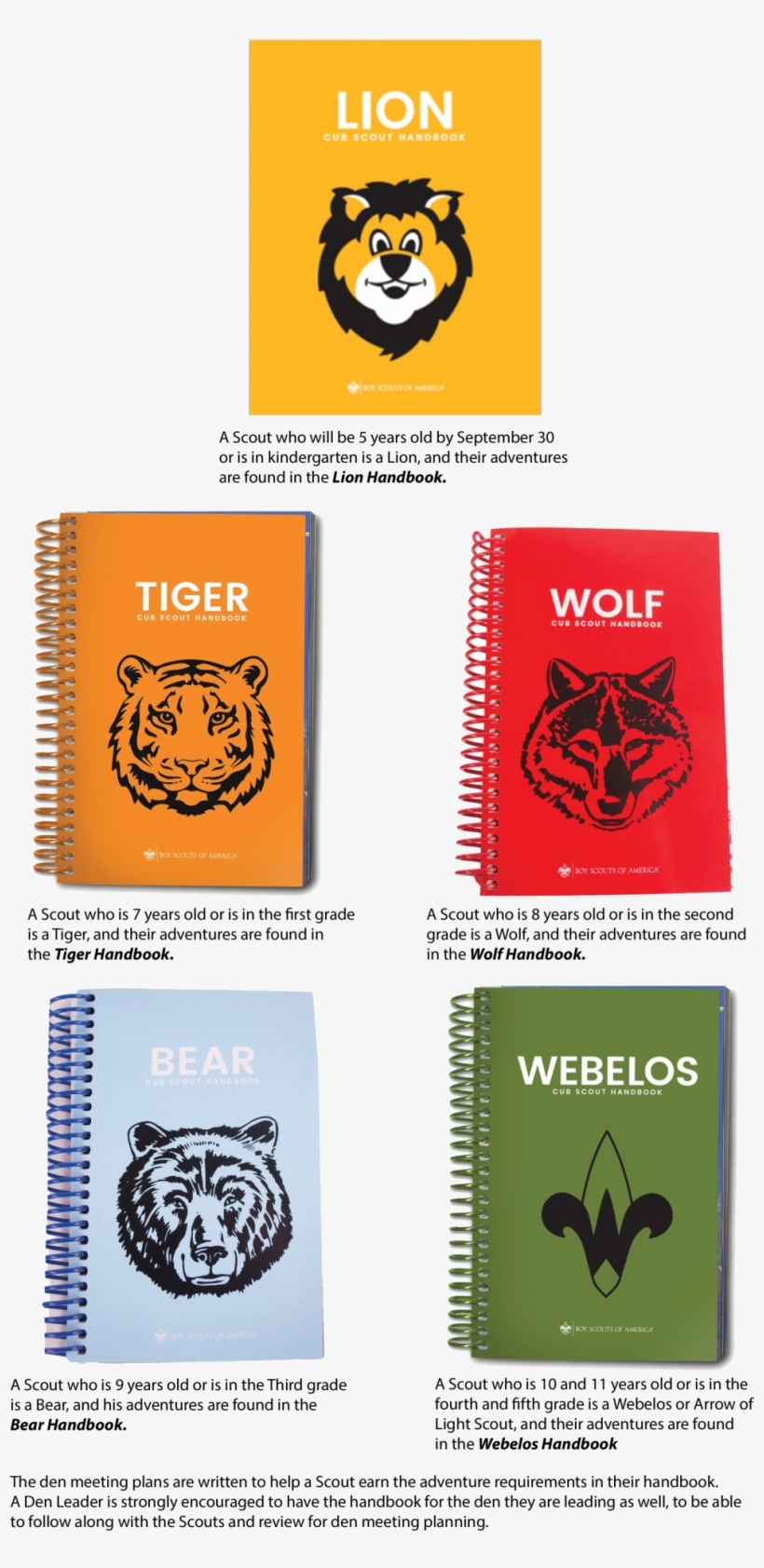 Cub Scout Ages And Ranks - Cub Scouting, transparent png download