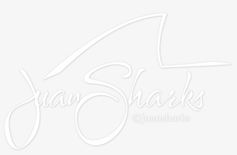 Portable Network Graphics, transparent png download