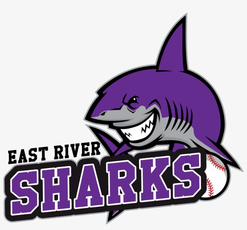 Great White Shark, transparent png download