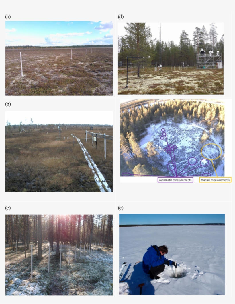 Snow Measurement Sites - Snow, transparent png download