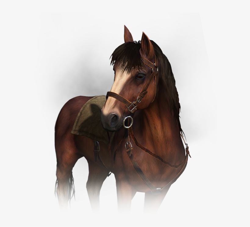 Roach The Witcher, transparent png download