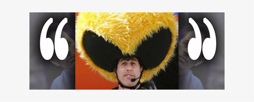 Career - Bee, transparent png download