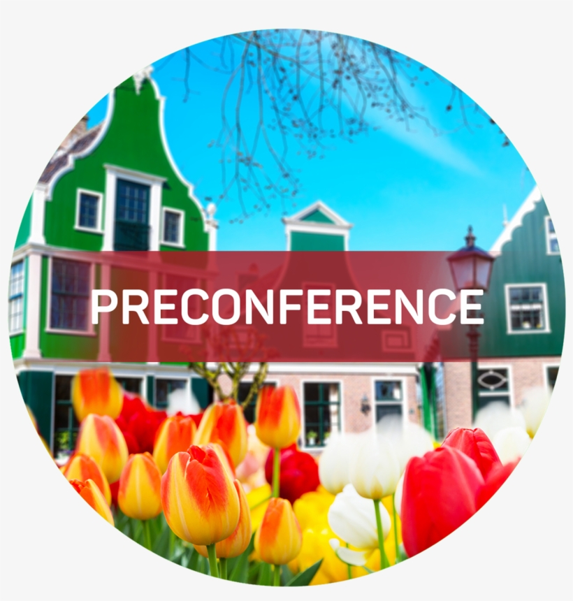 Therapist Corrective Emotional Experiences - Prof David Bernstein Maastricht, transparent png download