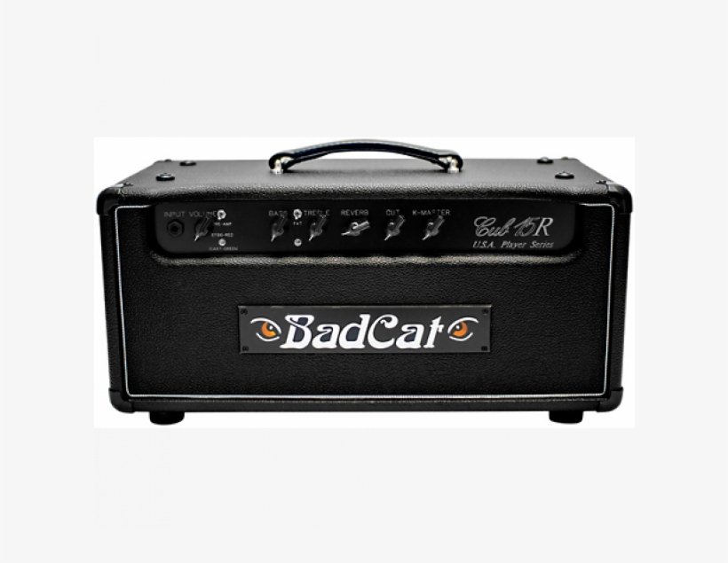 Bad Cat Cub 15r Usa Player Series 15w Tube Guitar Amp - Bad Cat Classic Pro 20r, transparent png download