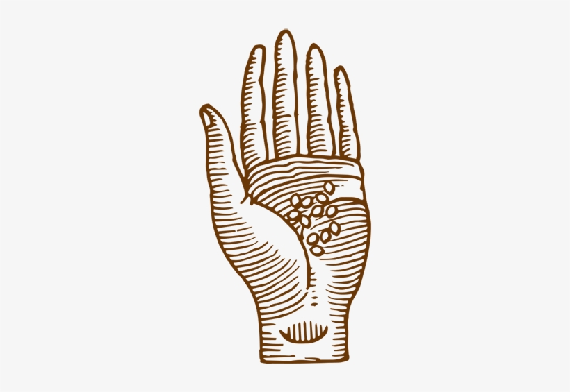 Amber Tamm Canty - Drawing, transparent png download