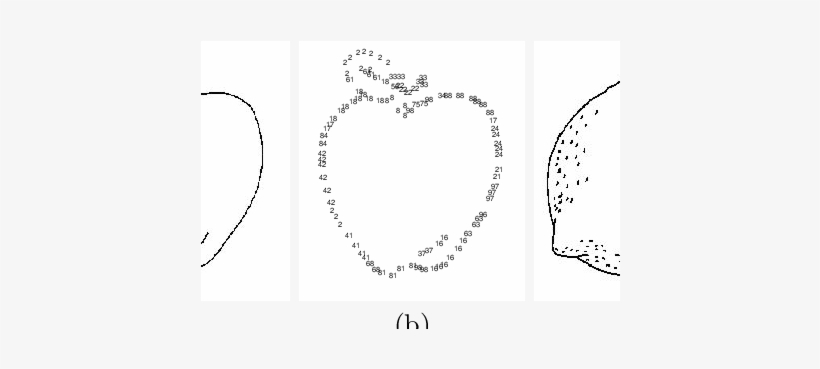 Sampled Points With Shapeme Labels - Shape, transparent png download