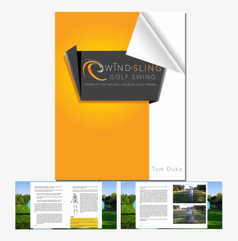 Brochure, transparent png download