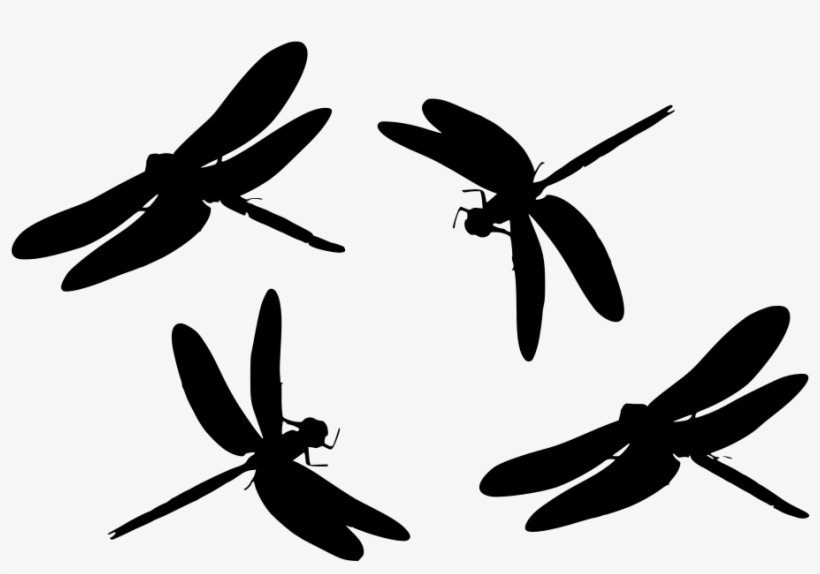 Download Png - Scalable Vector Graphics, transparent png download