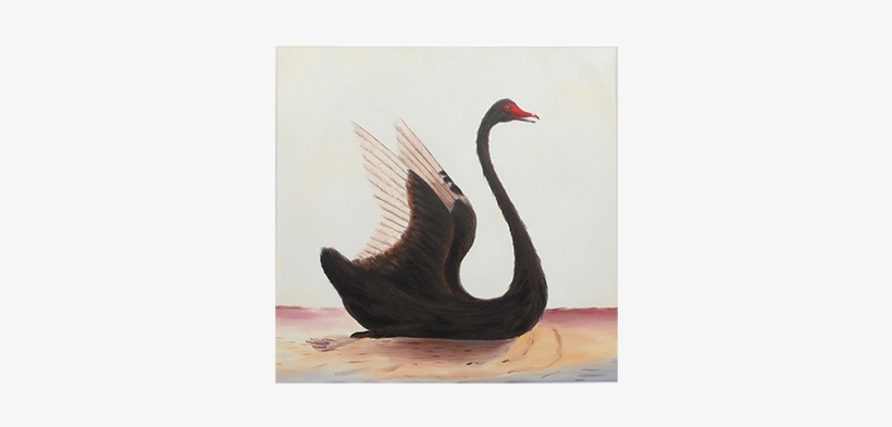 Visit - Black Swan Bird Drawing, transparent png download