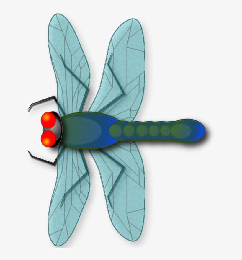 Make Your Own Dragonfly From Scratch *beginners* - Dragonfly, transparent png download