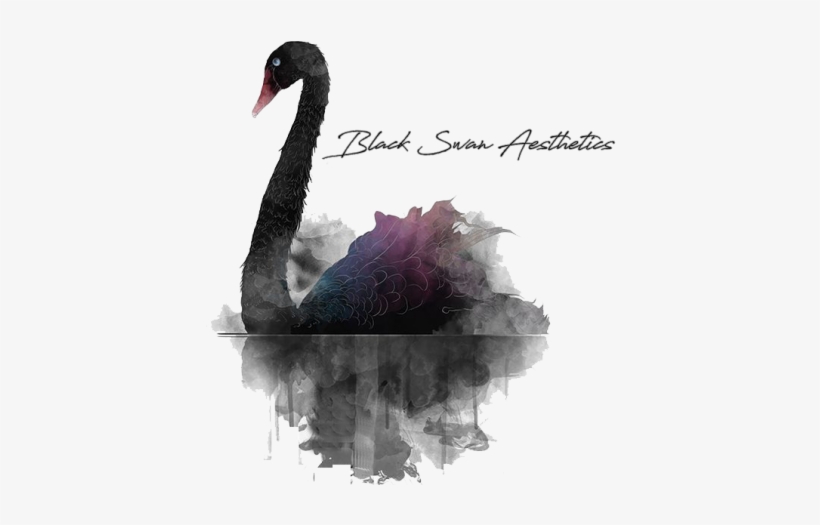 Black Swan, transparent png download