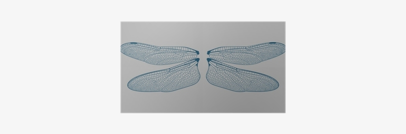 Dragonfly Wings, transparent png download