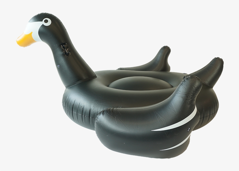 Sunfloats Inflatable Black Swan Pool 