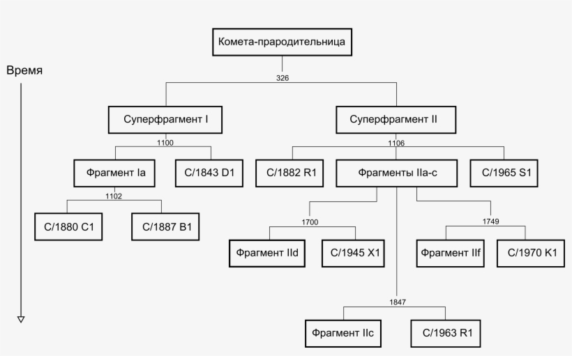 Kreutz Comets Family Tree Ru - Family Tree, transparent png download