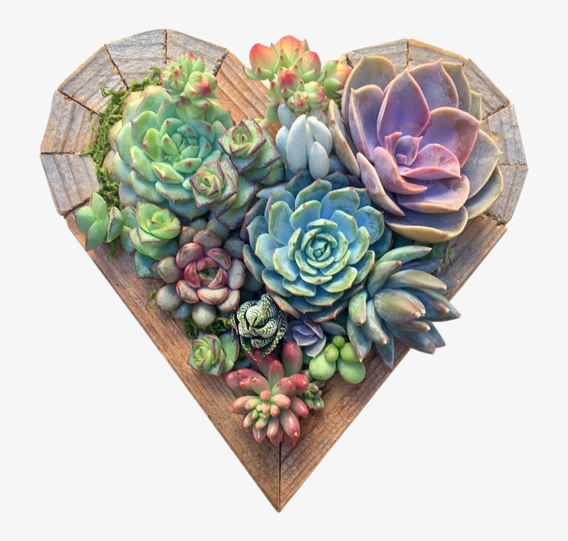 Small Heart - Succulent Heart Workshop, transparent png download