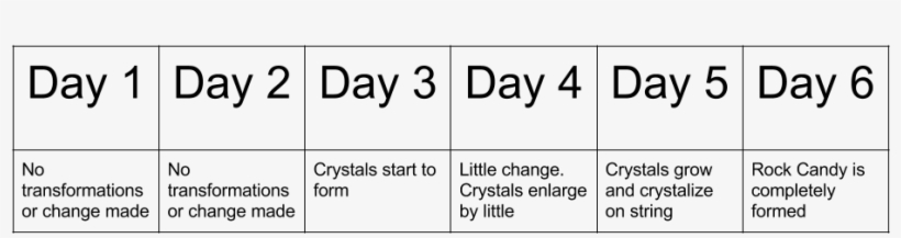 During The Experiment It Took A Well 6 Days For The - Number, transparent png download