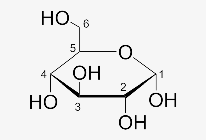 301 × 240 Pixels - Numbering Carbons In Glucose, transparent png download