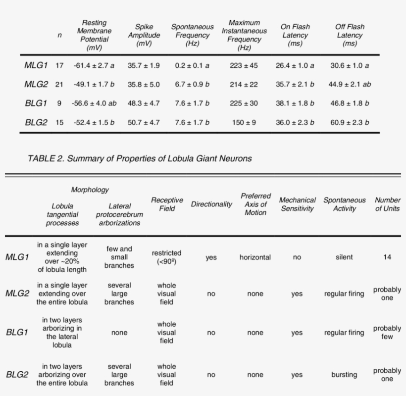 Intrinsic Properties Of Lobula Giant Neurons - Number, transparent png download