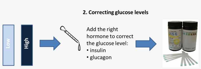 Correcting Glucose Levels - Writing, transparent png download
