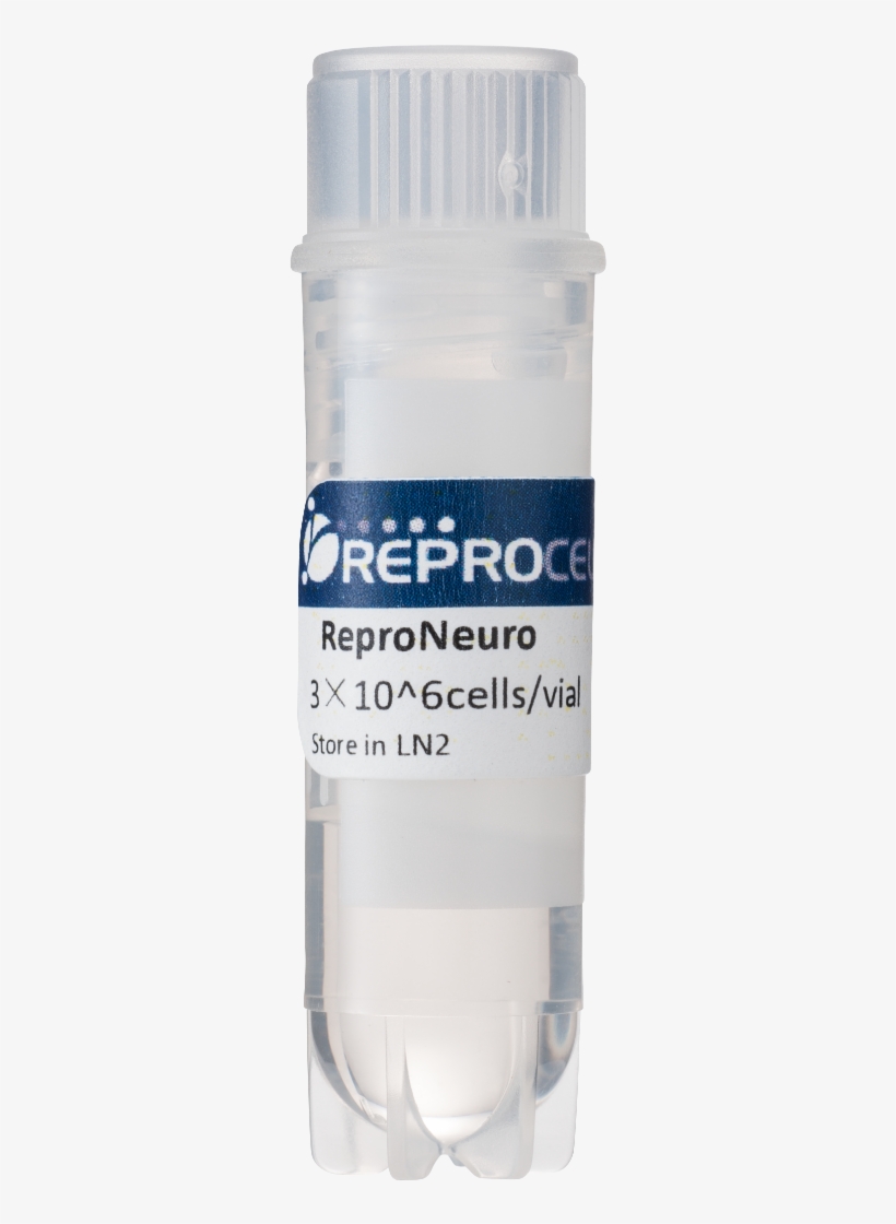 Human, transparent png download