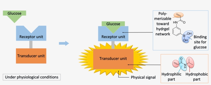 Diagram, transparent png download