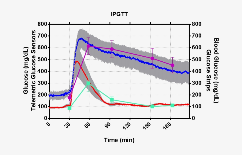 Intraperitoneal Glucose Tolerance Test In Two Groups - Human Glucose Tolerance Test, transparent png download