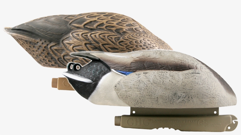 Greenhead Gear Pro-grade No-head Mallard Feeder Decoys, transparent png download