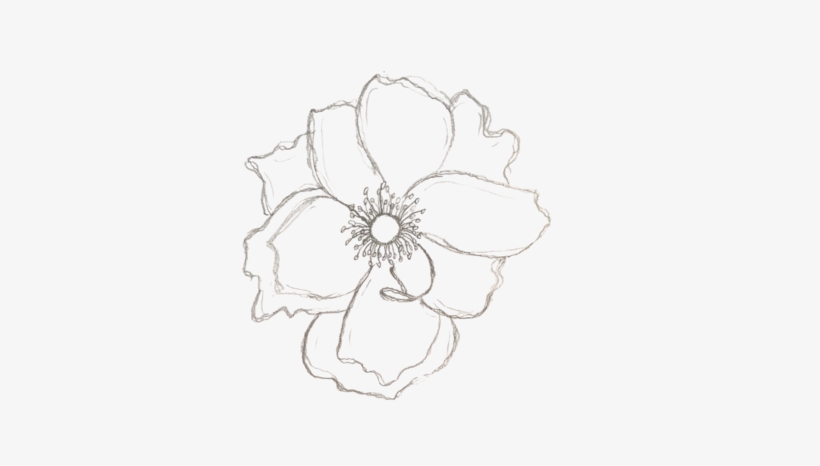 Image Free About Apotheca Flowers Wedding - Sketch, transparent png download