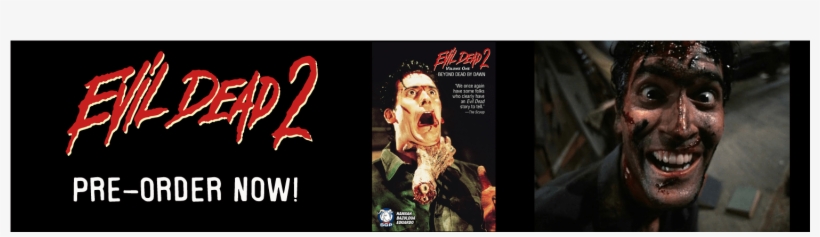 Evil Dead - Evil Dead 2, transparent png download