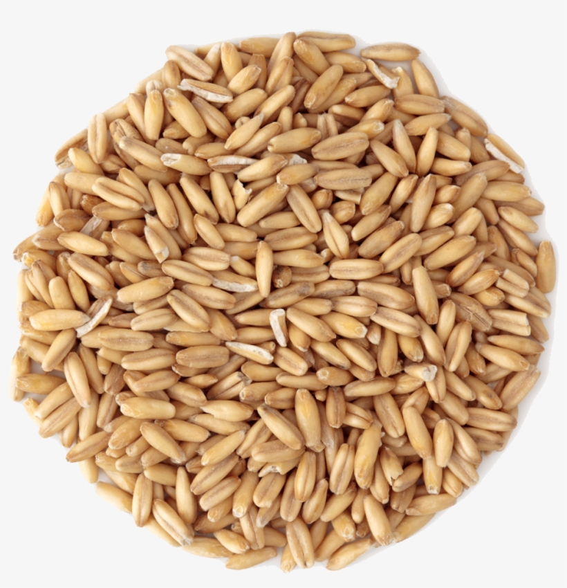Small Pile Of Grain - Oats Grain Png, transparent png download
