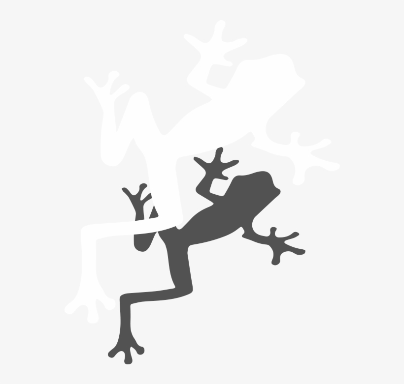 White-frog - Frog, transparent png download